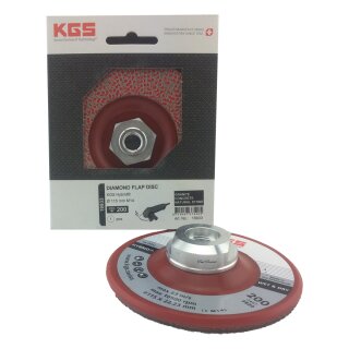 KGS Hybrid Diamant-Lamellen-Schleifteller mit M 14 Gew. K 120